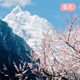 春祈神山｜第三届 梅里雨崩 五一徒步节 · 56公里轻徒步 6日【雪山花季+撒隆达仪式+赠春日礼包】