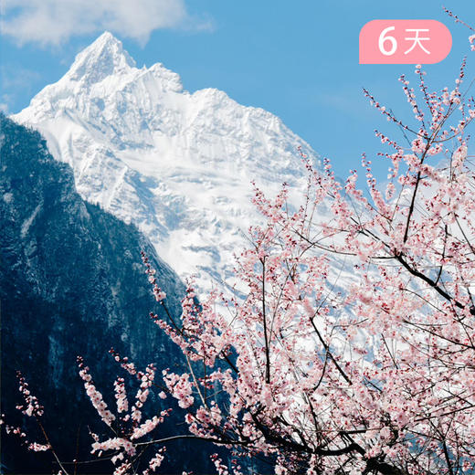春祈神山｜第三届 梅里雨崩 五一徒步节 · 56公里轻徒步 6日【雪山花季+撒隆达仪式+赠春日礼包】 商品图0