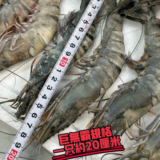 【顺丰冷链】顶级黑虎虾 16/20头 活虾极速锁鲜速冻 肉质紧实饱满 口感劲道 富含虾青素 - AYLJ 商品图1