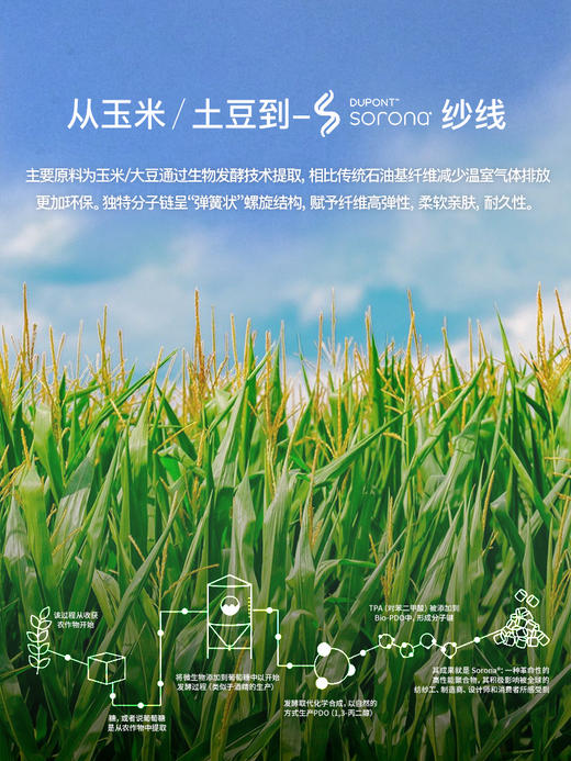 【轻旅一号】COOLMAX爆冰体感出行休闲裤255C0C812N 商品图9