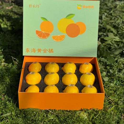 柠檬甜橙#“绿美人”皮薄多汁，香味浓郁，柑橘新品，风味独特且浓郁，新品尝鲜，顺丰直发 商品图5