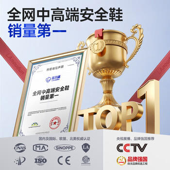 蓝鸥盾劳保鞋男夏季透气超轻软底钢包头防砸防刺安全正品工作鞋DL232 43 商品图1