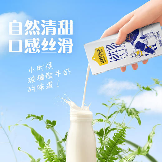 认养一头牛 3.6g纯牛奶 250ml*12 一提装/两题装 商品图1
