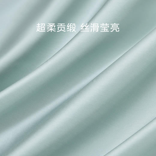 罗莱智家溶溶月落高支新疆棉贡缎套（WDY0271-4） 商品图4