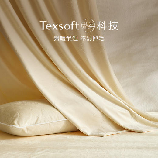 罗莱智家绒叶清语慕斯绒套（WTR0155-3） 商品图1