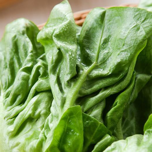 那云那南有机罗马生菜 250g/份 商品图3