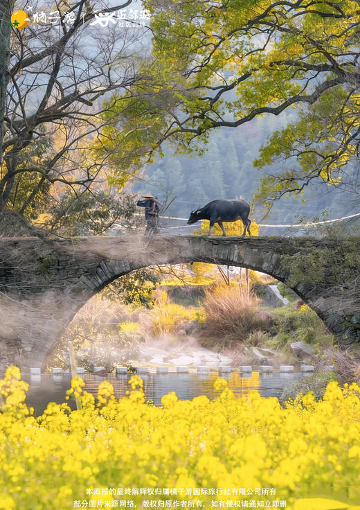 【春约婺源 限时花海】高铁6日游 商品图1