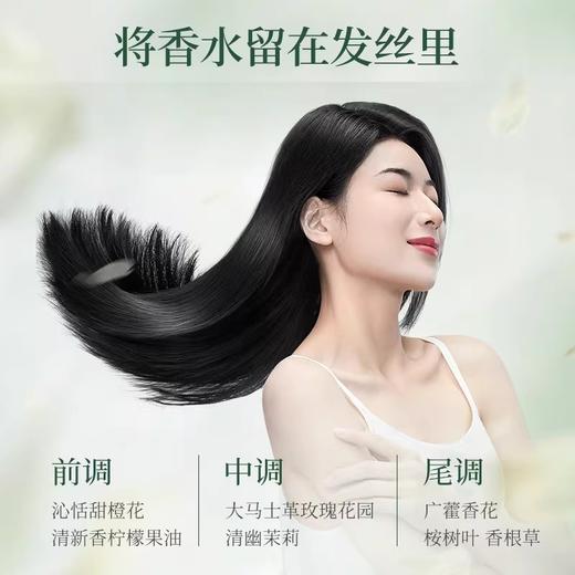 阿道夫丨茶麸冰护理专研无硅油洗发水(祛油止痒) 350ml 商品图4