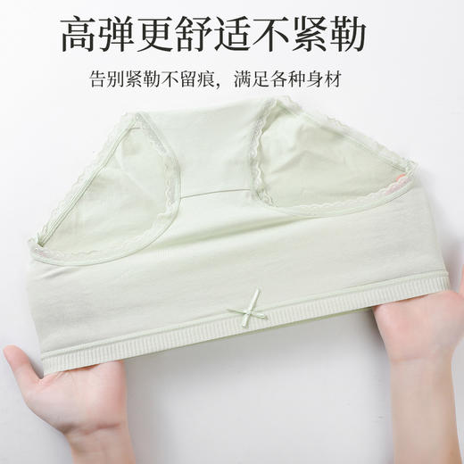 【59元4条，请拍4条，单拍不发】纯棉抑菌3A抑菌底档高弹舒适女士内裤-M546 商品图4
