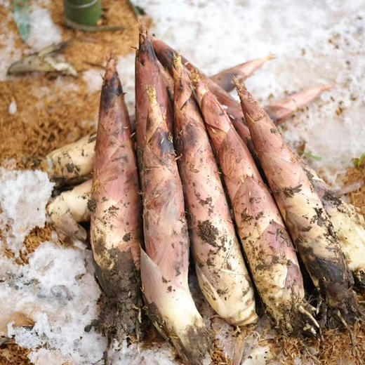 【临安-天目山春笋】2026 头茬天目山春笋，脆嫩的笋带着清鲜，回味略带甘甜，入口无渣，微甜无涩，净重4斤 商品图13