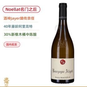 40年藤阿里高特！酒神Jayer嫡系传人！米歇尔诺拉阿里高特白葡萄酒 Michel Noellat Bourgogne Aligote 2023
