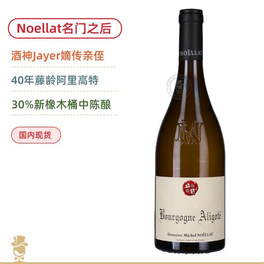 40年藤阿里高特！酒神Jayer嫡系传人！米歇尔诺拉阿里高特白葡萄酒 Michel Noellat Bourgogne Aligote 2023 商品图0