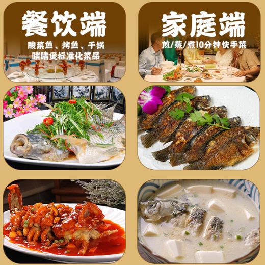 【YC】三去罗非鱼 商品图1