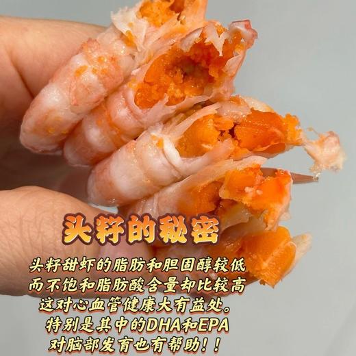 【顺丰冷链】渔礼记北极头籽甜虾2斤/盒 90-120规格 超高头籽率 100%纯野生 世界MSC认证 甜虾中的爱马仕 - AYLJ 商品图2