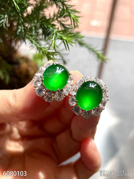 老坑玻璃种帝王绿蛋面耳钉【6080103】具体价格微信咨询 商品图3