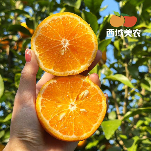 云南高原虎柑4 斤礼盒装  新鲜采摘发货，酸甜汁水足！中通 商品图6