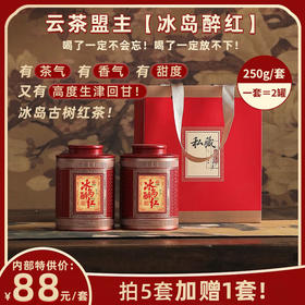 云茶盟主【冰岛醉红】一口沦陷的性价比天花板！2026年冰岛老寨头春古树晒红，好喝到停不下来的开年惊喜！仅分享一部分！