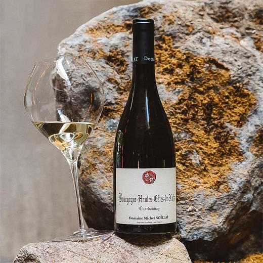 Jayer嫡系传人！30+年霞多丽！米歇尔诺拉上夜丘白葡萄酒 Michel Noellat Bourgogne Hautes Cotes de Nuits Chardonnay 2023 商品图2