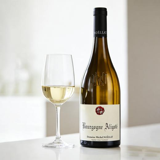 40年藤阿里高特！酒神Jayer嫡系传人！米歇尔诺拉阿里高特白葡萄酒 Michel Noellat Bourgogne Aligote 2023 商品图1
