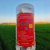 【铁棍山药片】 入药品种正宗淮山药 老匠人纯手工切片 保留完整皂苷 商品缩略图3