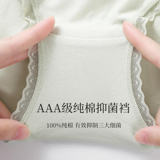 【59元4条，请拍4条，单拍不发】纯棉抑菌3A抑菌底档高弹舒适女士内裤-M546 商品图2