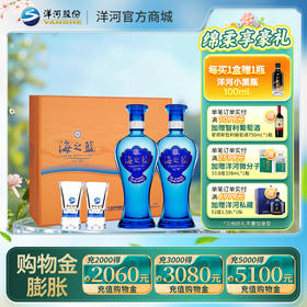 洋河 海之蓝 礼盒 42度 480mL双支装 浓香型白酒