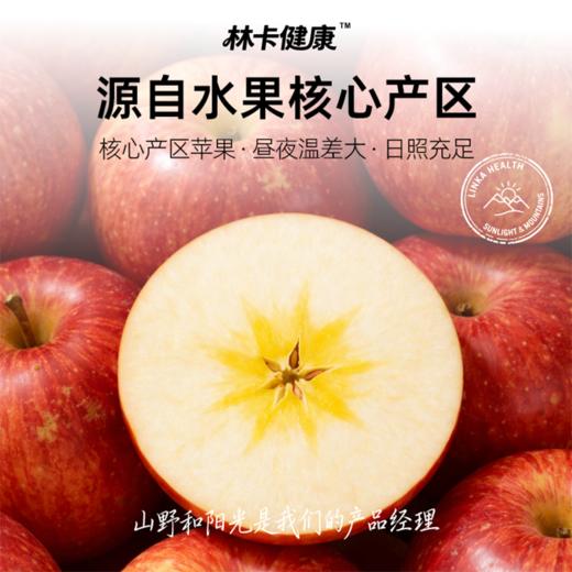 林卡健康无添加苹果干 西梅干 火龙果干 商品图1