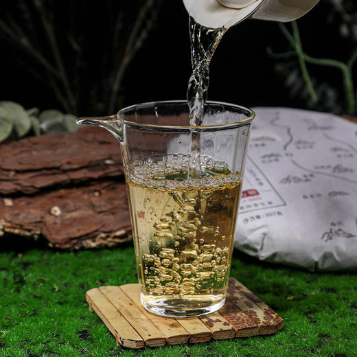 【预售8折，买7送1】2026《刮风寨》古树春茶 357克*1饼 生茶 商品图2