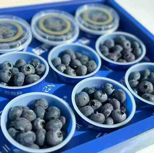 【蓝莓杯18➕】脆甜多汁带花香，口感超赞的，风味很足，不单单只是甜，蓝莓香超级浓郁 商品图9