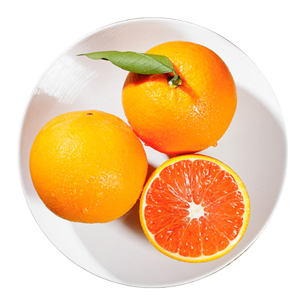 秭归中华红脐橙 新鲜采摘