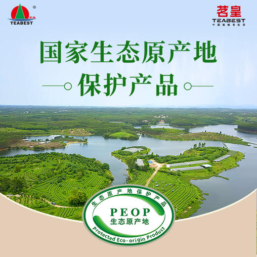 茗皇金叶原味冻萃茶(茶粉) 商品图1