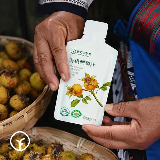 【活动：每拍3减10元！】有机刺梨原液 益生元/纯原汁两款可选有机刺梨原液，富含VC等几百种营养元素，口感清香回甘刺梨原浆 商品图3