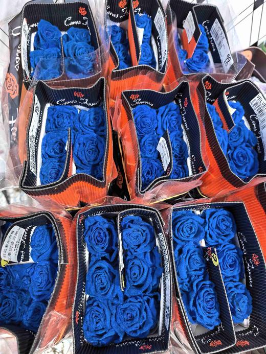 厄瓜多尔进口玫瑰TIN DEEP BLUE  VELVET蓝色天鹅绒Jennie同款蓝丝绒10支 商品图2
