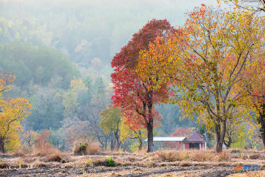鄂赣秋境5/9天摄影团：大别山红叶 + 庐山秋韵 + 武汉夜景  + 鄱阳湖秘境 商品图6