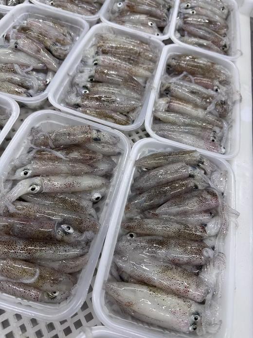 L''招牌一口管鱿鱼🦑口感爽脆，白灼和煲盐水最佳的 商品图2