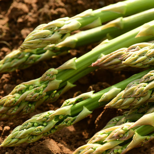 基地直发 | 生态芦笋 | 芦笋姐姐 商品图2