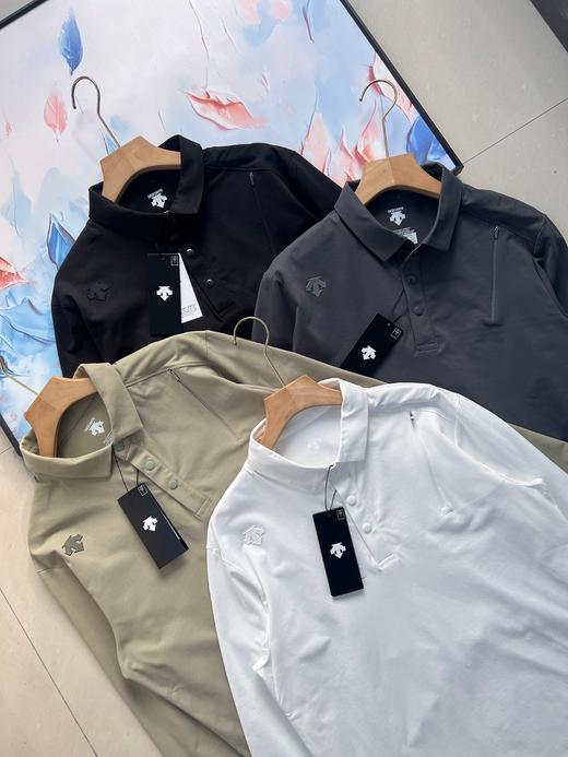 点此购买 迪桑特春秋季男士经典款长袖Polo衫 kad 341721 商品图12