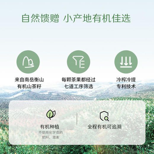 有机山茶油丨产地：湖南衡山，有机肥喂养，物理压榨，500ml/瓶，山东发货⭐️顺丰快递 商品图2