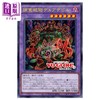 【中商原版】游戏王 OCG怪兽之决斗DM 官方卡游卡牌目录EX 6 附带2张卡牌 集英社 日文原版画集 遊戯王 商品缩略图1