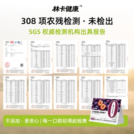 林卡健康无添加苹果干 西梅干 火龙果干 商品图13