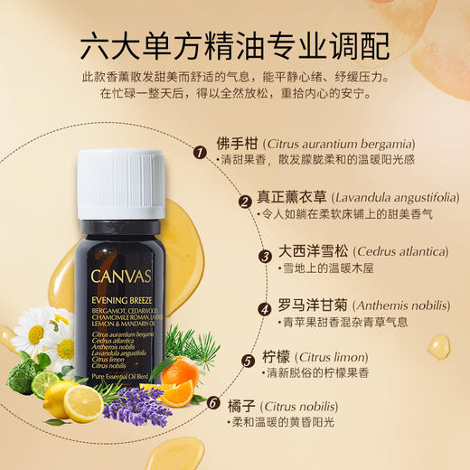 保税直发 CANVAS 卡芬诗  恬静微风复方香薰精油 12mL 商品图2