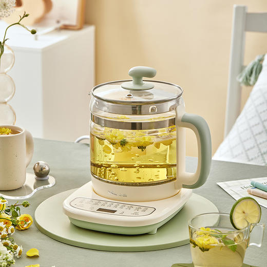 小熊 养生壶/YSH-D15T3 商品图0