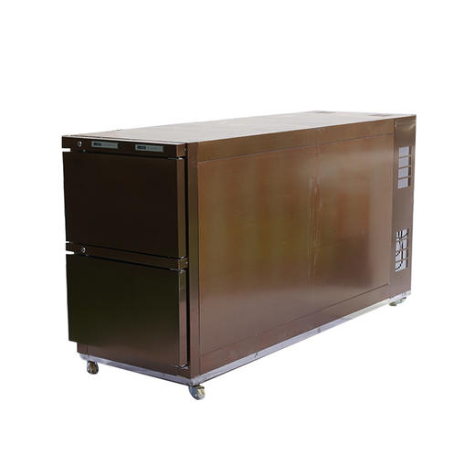 双层太平柜殡仪馆医院太平间遗体冷藏存放保存强制冷 商品图2