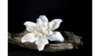 {三祈门Santimento} 浮烬 白色瓷花扩香石 SSP002大梦 商品缩略图3