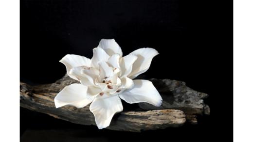 {三祈门Santimento} 浮烬 白色瓷花扩香石 SSP002大梦 商品图3