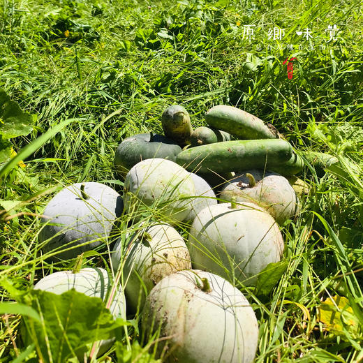 自选生态蔬菜箱（农场直发-顺丰快递）| 多种规格，来自成都郫都区【原乡农场，自产自销】 商品图1