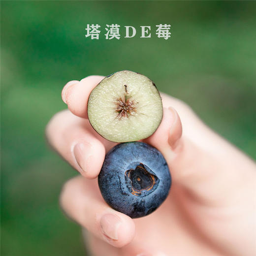 塔漠DE莓 . 新疆蓝莓 来自新疆塔克拉玛干沙漠 当季鲜果 商品图2