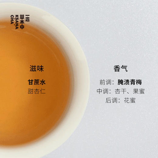 【快闪上新】古树生普·2020易武瑶族丁家寨生普 | 50g/罐丨生普类 商品图1