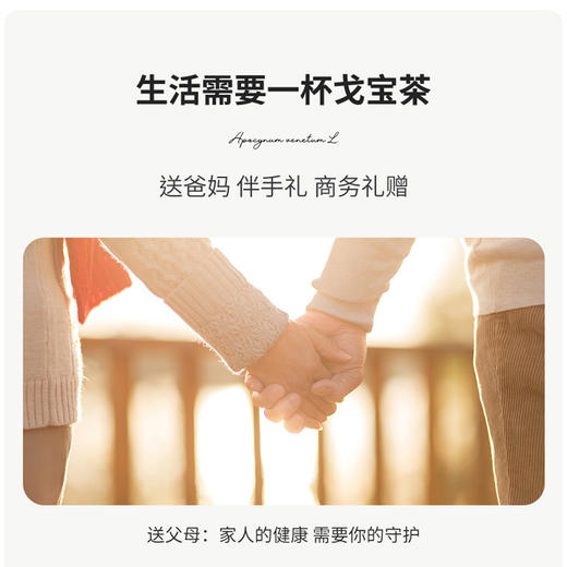 戈宝红麻 罗布麻酸枣仁五味子茶 4.5g*60袋 商品图4