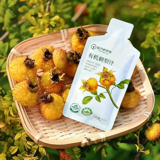 【活动：每拍3减10元！】有机刺梨原液 益生元/纯原汁两款可选有机刺梨原液，富含VC等几百种营养元素，口感清香回甘刺梨原浆 商品图9